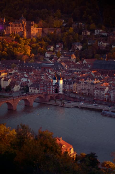 Guide to Germany Scholarships for International Students